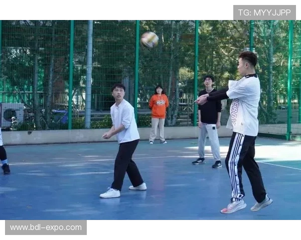 排球新手必看:全面解析战术技巧与实战策略的入门指南