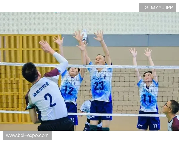 杭州排球队的力量解析与发展潜力探讨 杭州排球队的力量解析与发展潜力探讨