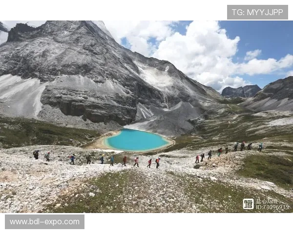 武汉攀岩队的反击之路:挑战与收获的深度剖析 武汉攀岩队的反击之路:挑战与收获的深度剖析