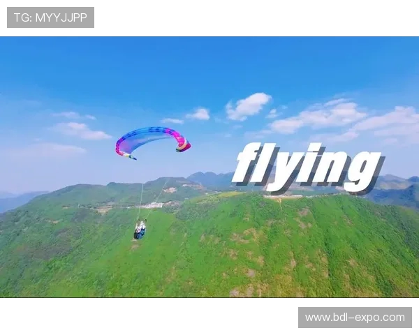 杭州极限运动队快攻战术解析与发展趋势探讨