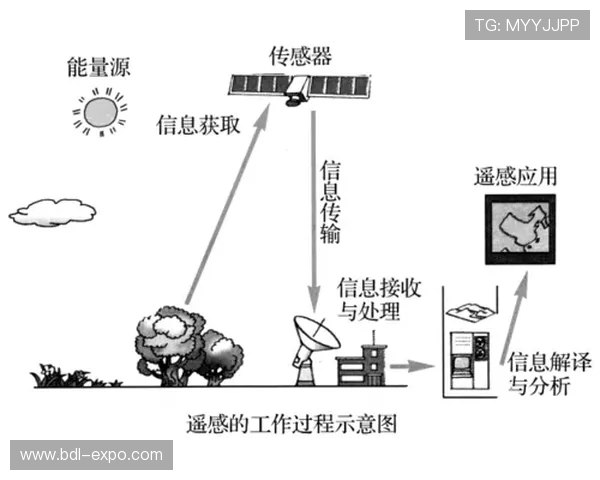 深圳乒乓球队的训练与比赛节奏解析及其对未来发展的影响
