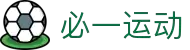 必一(运动科技有限公司)官方网站-B·Sport
